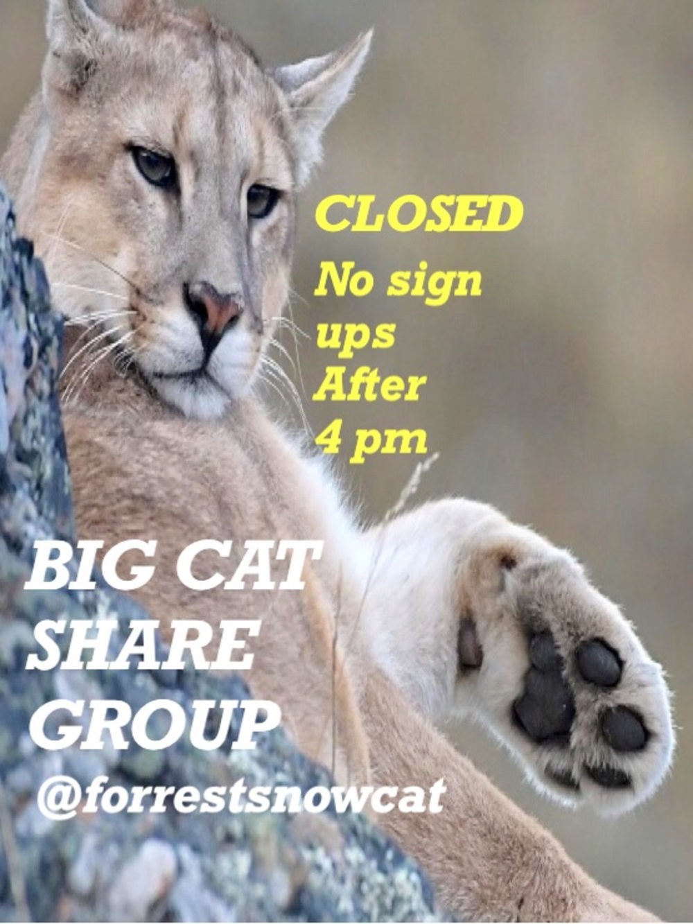 BIG CAT SHARE GROUP  TUESDAY 9/8 CLOSED
